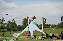 Venice kite festival_0541